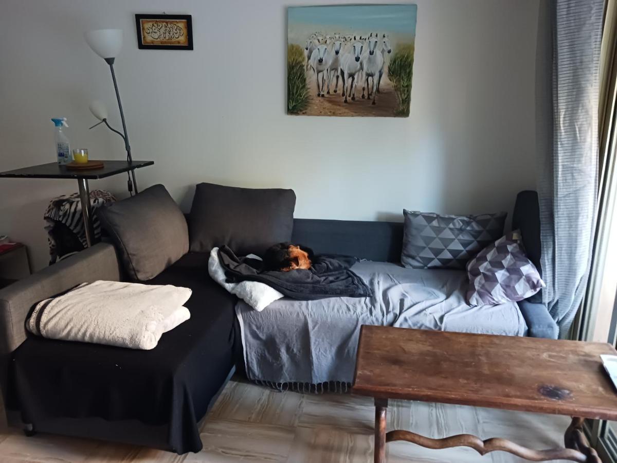 Rez-De-Jardin Grand Studio Appartement Cros-de-Cagnes Buitenkant foto